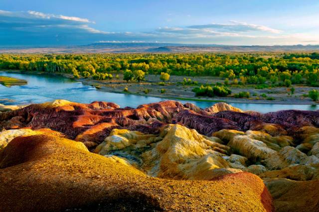 11月6日向淮薛夕的独特风情，一场别样的浪漫之旅深度解析