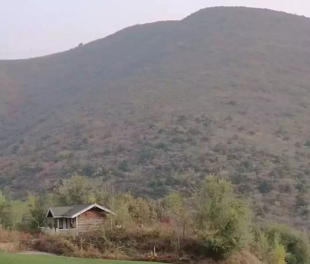 泰谦堂康恩贝最新动态，铸就自信与成就之光的变革之路