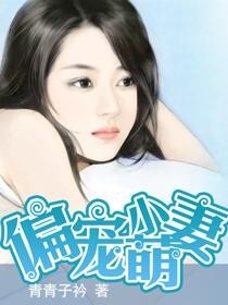 顾少的小萌妻最新章节连载现象深度解读，网络小说热门连载之路探索