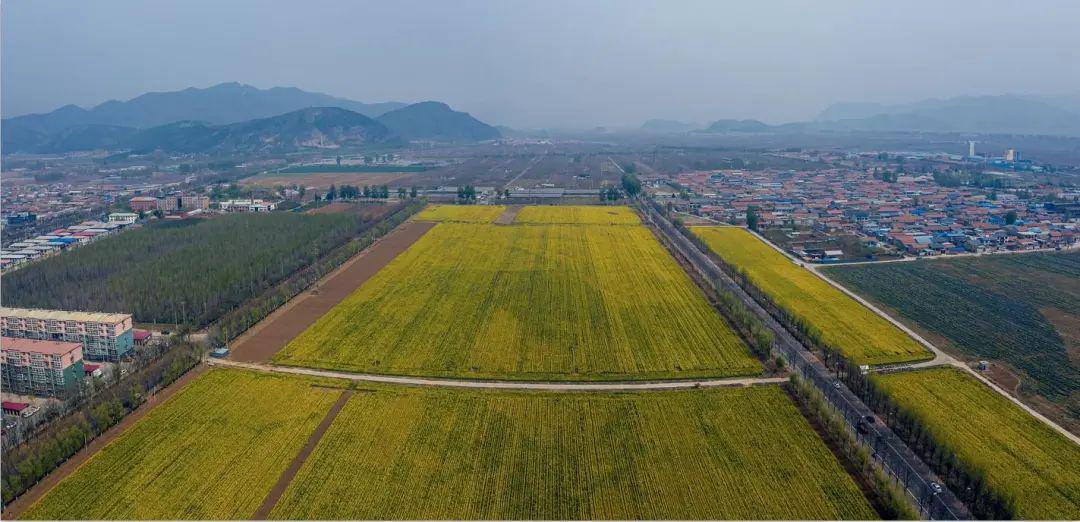 平谷区峪口镇最新规划详解，深度评测、特性、体验、竞品对比与用户洞察