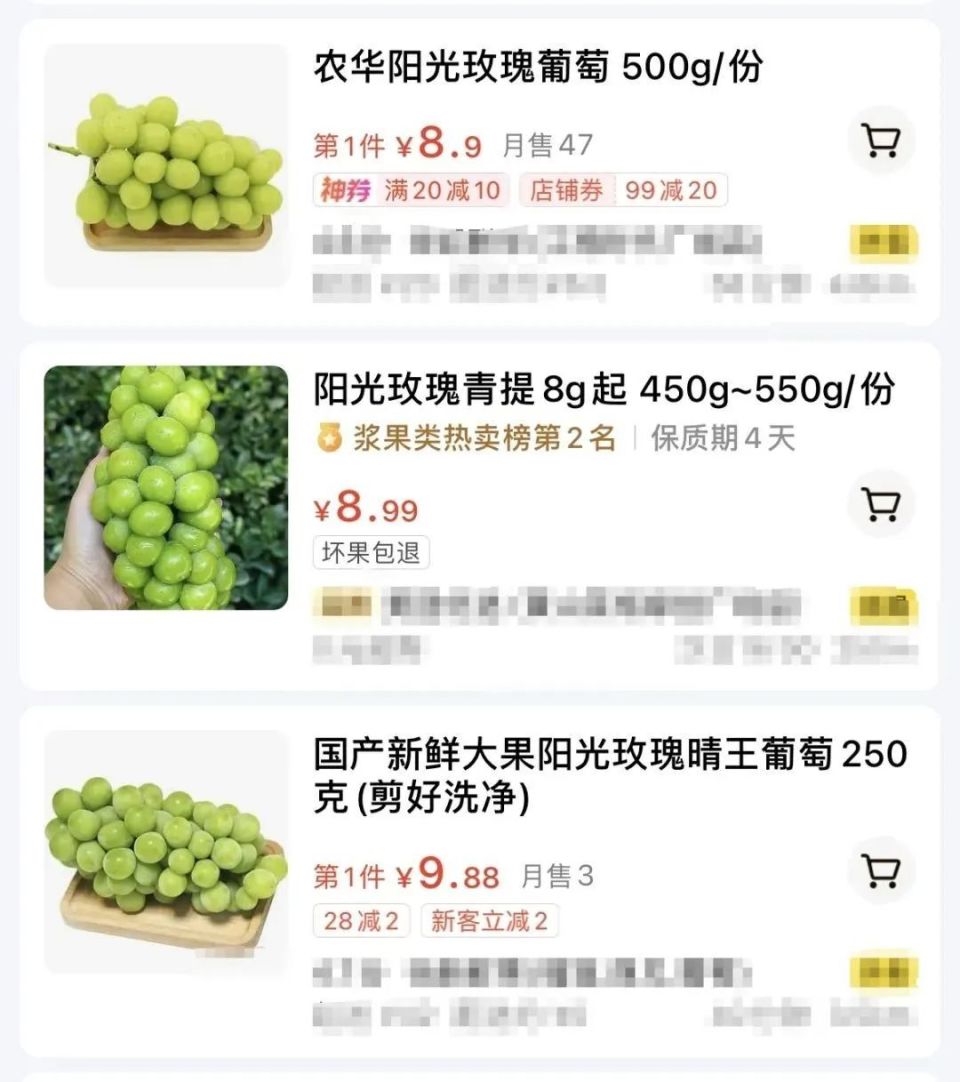 2024年11月10日 第17页