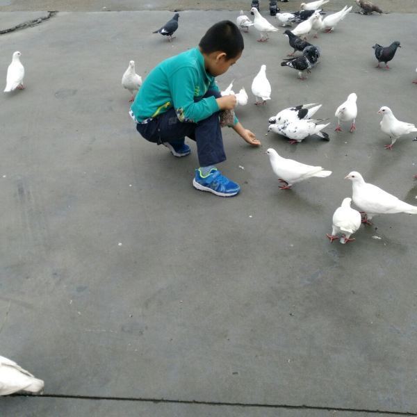 往年11月10日汝南南海禅寺最新动态揭秘，获取消息指南与往年一月一日资讯轻松掌握