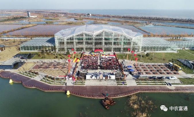 金湖工业园区十一月人才盛宴，探寻产业新篇章与历年招聘盛况回顾