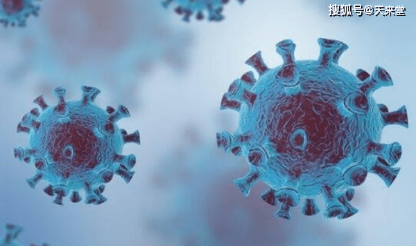 最新清宫图探秘，与自然美景的邂逅与内心的平和之旅