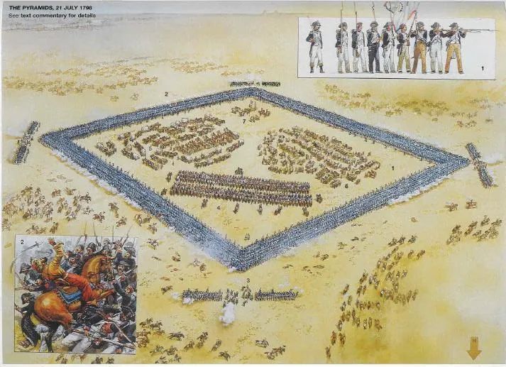 前田香织最新步兵番号回顾与展望，2024年11月前的篇章