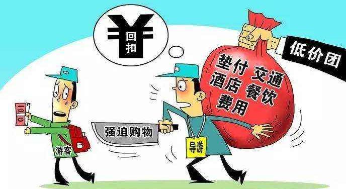 2024年11月11日 第37页