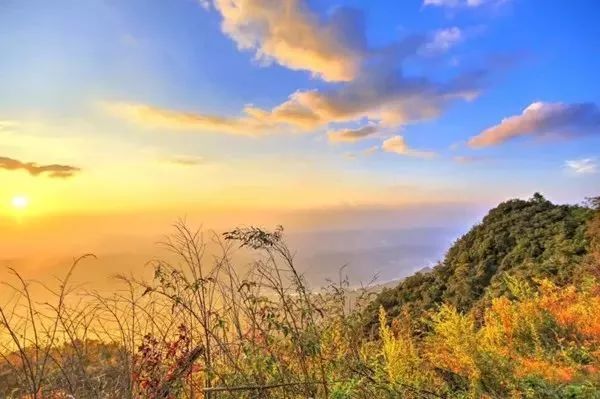 追寻天花图，自然美景的心灵之旅新探