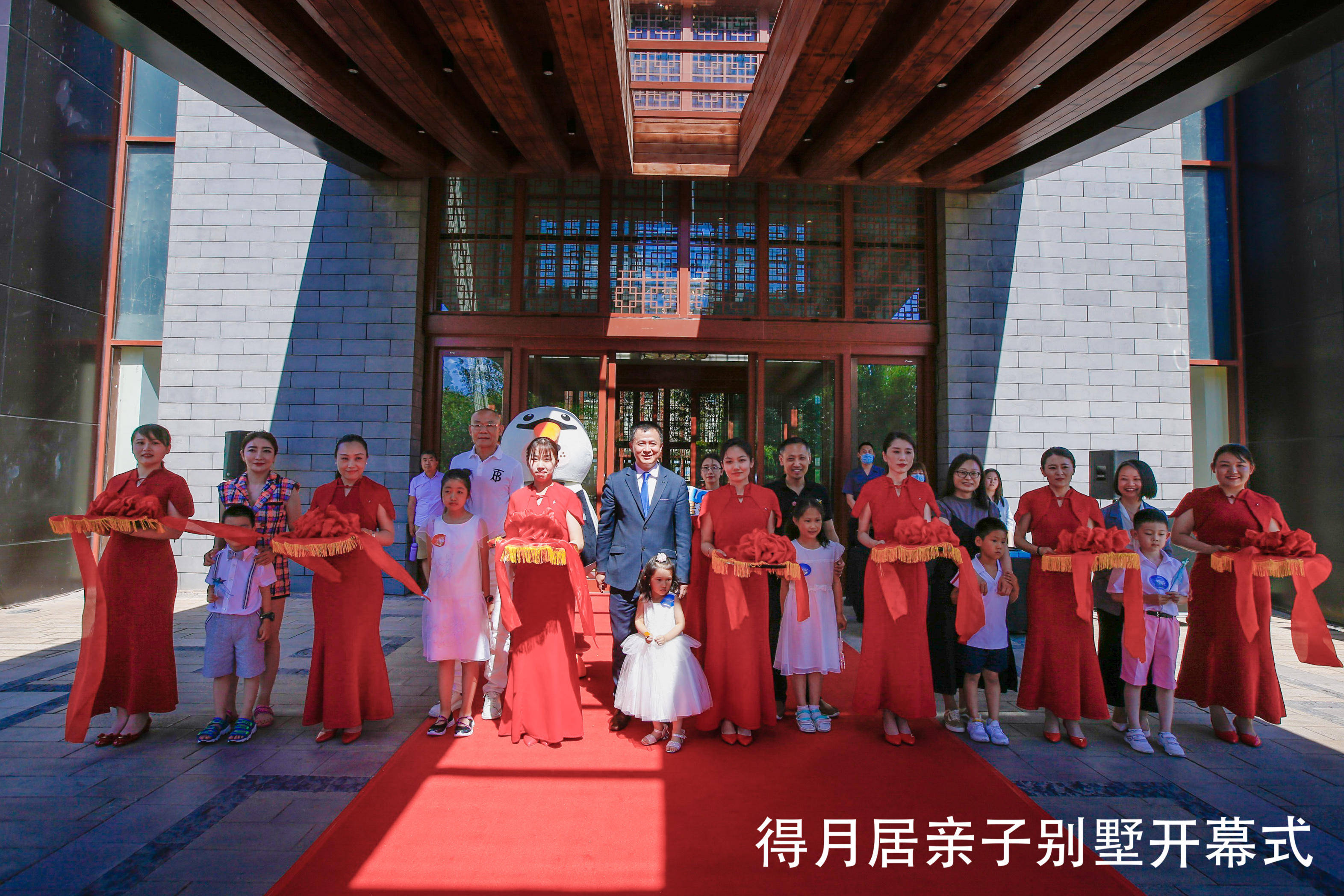 董力阿拉蕾最新活动深度解析，特性、体验、竞品对比及用户群体分析