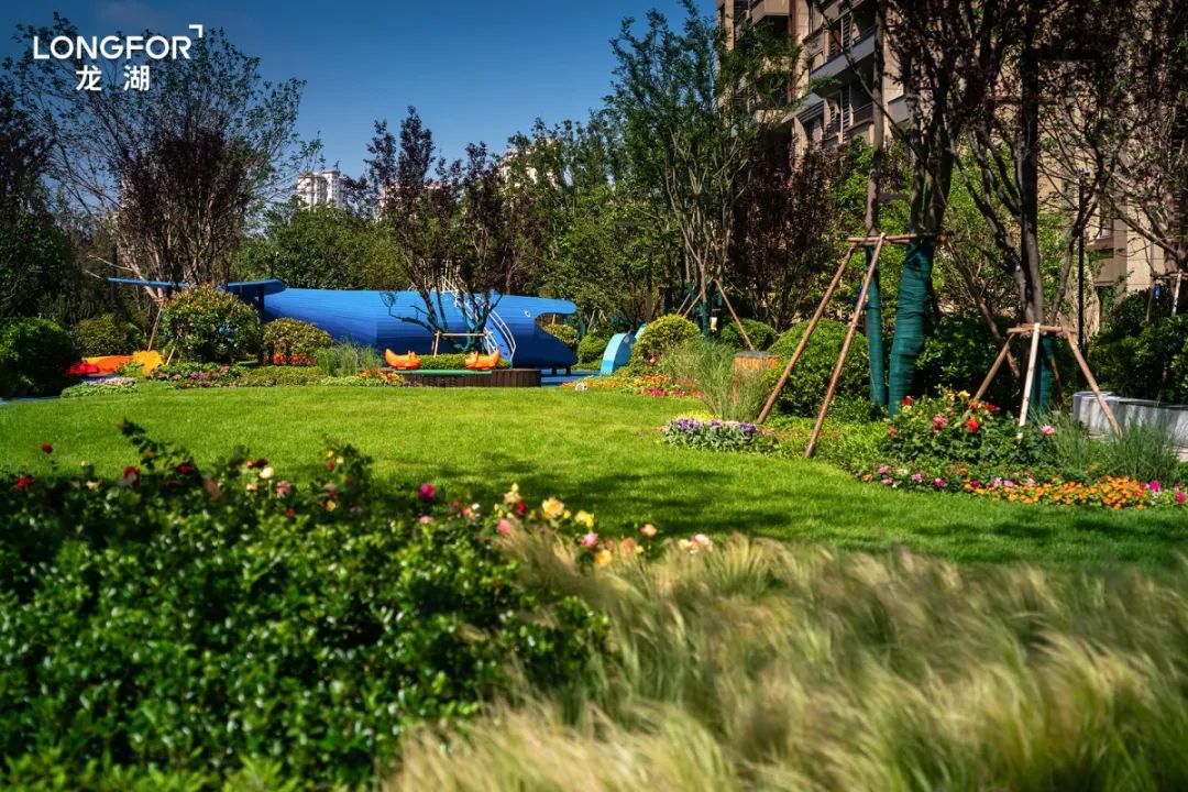 今年狗窝最新版，自然美景的治愈之旅探索