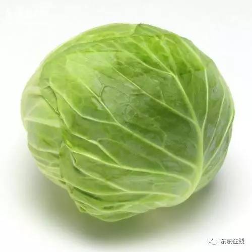 科技引领下的甘蓝市场变革，全国最新甘蓝价格动态智能监测揭秘