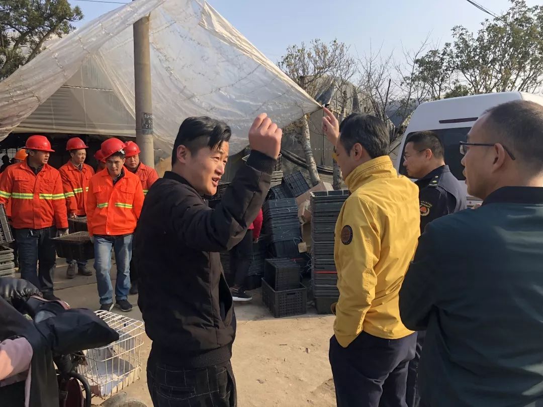 本月威斯三双最新动态深度解析，聚焦要点悉数呈现