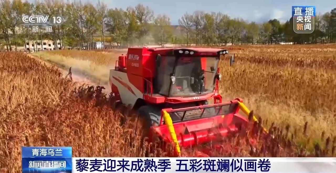 本周微型水稻收割机的革命性技术与实际应用概览