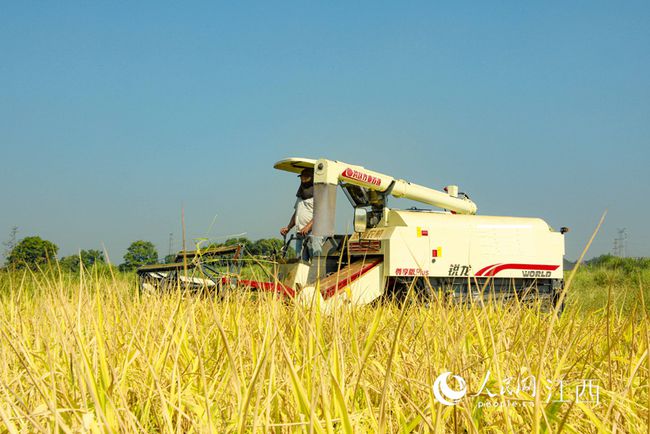 本周微型水稻收割机的革命性技术与实际应用概览