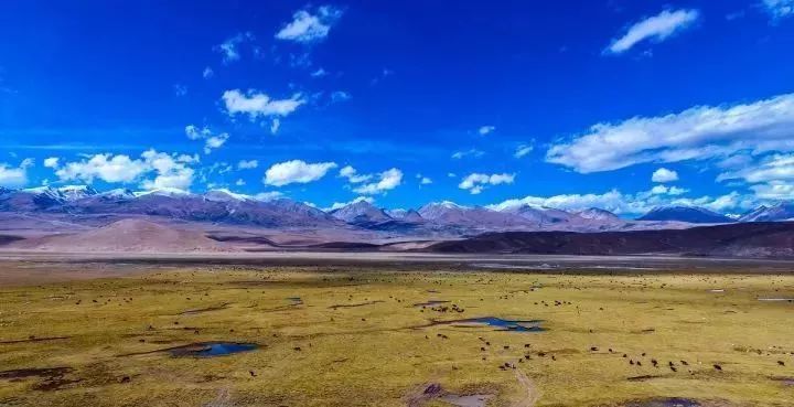 跟随颠峰强少，探寻自然美景之旅，内心平静与喜悦的追寻