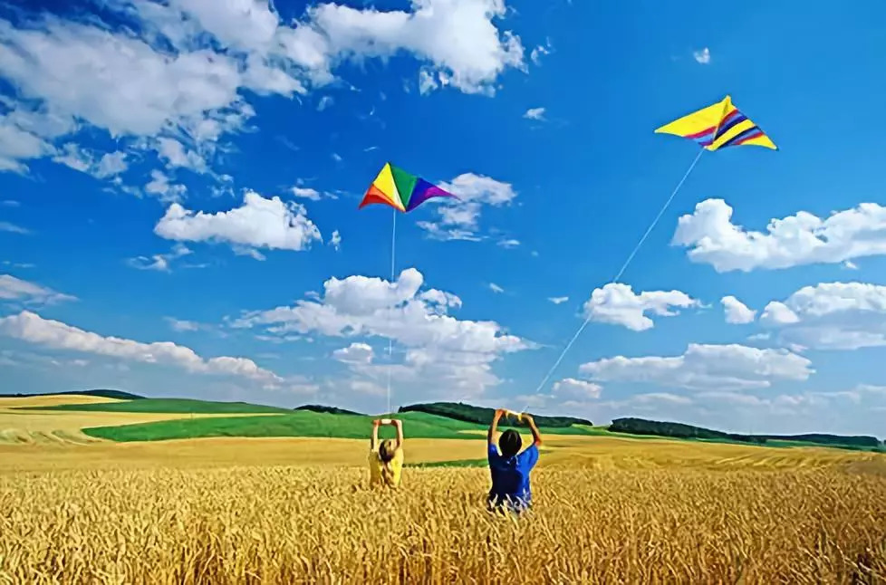 跟随颠峰强少,探寻自然美景之旅,内心平静与喜悦的追寻