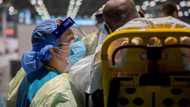 埃及疫情下的奇遇与温情纽带，每日故事更新至11月10日