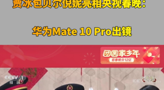 新华都周文贵最新动向解读，本周动向聚焦个人观点与考量因素