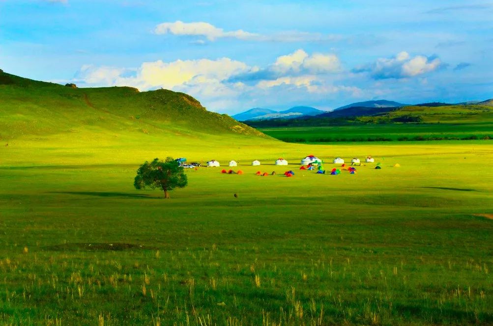 探访未来美国医院的绿色心灵之旅，穿越自然美景的医院之旅纪实（2024年11月）