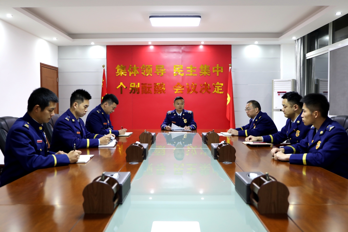 王辰最新讲话解读，学习指南与关键要点掌握之路