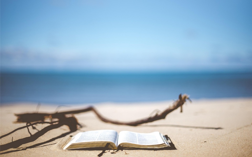 本周会计从业资格证最新动态解读，多维度探讨下的行业趋势与决策方向