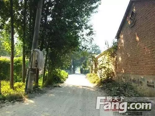 廊坊董常甫村最新动态概览，2024年11月10日更新消息速递