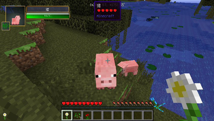 我的世界最新版中文版，全新体验与独特魅力的探索之旅