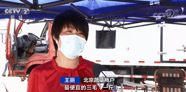 洞悉未来趋势，2024年大葱市场最新动态与新鲜速递