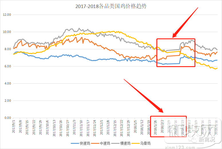 最新鸡价行情分析，一场寻找内心平静的养鸡之旅