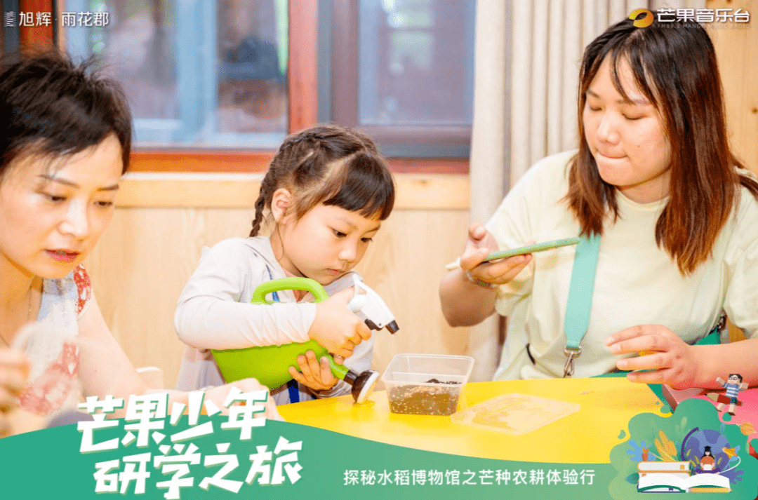 揭秘，11月www.yyv.co最新地址，全新体验开启独家之旅