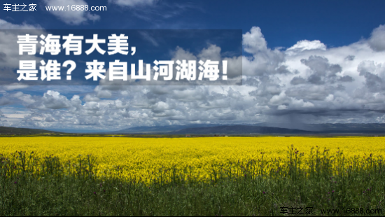 徐州保洁本周直招，自然探索之旅，洗涤心灵启程