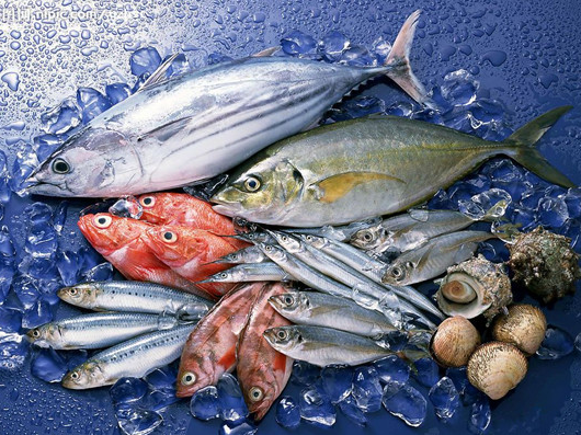 花开无言 第50页