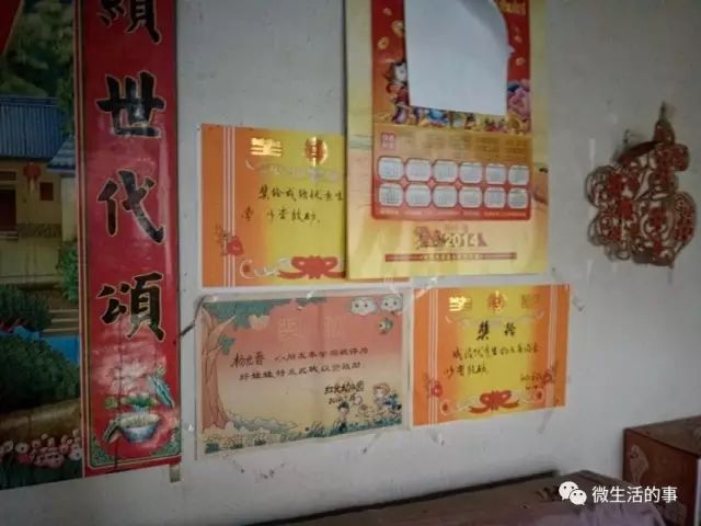 往年11月12日凤翔最新疫情动态分析与报告