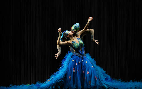 探秘小巷深处的嘎嘎舞秘境，揭秘每年11月13日的舞动传奇时刻