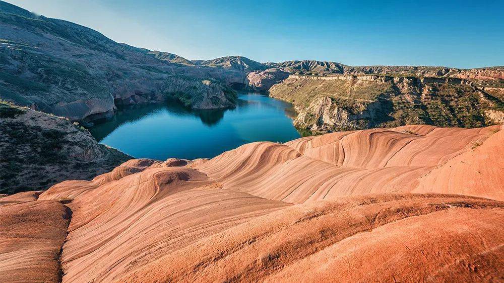 探秘谷子秘境，揭秘往年1月谷子最新价格奇幻之旅
