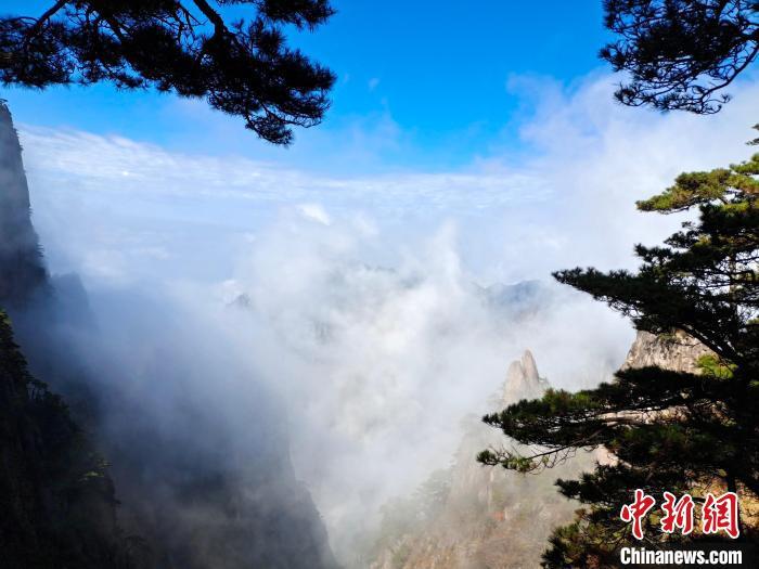 常州小黄山秋日最新动态，温馨日常的趣闻与美景