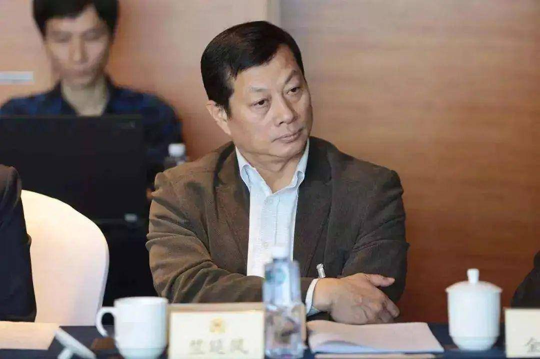 信雅达公司最新动态速递，聚焦要点深度解析（最新更新消息）