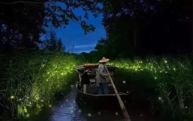 与土豆共舞，探寻内心平静的自然美景之旅