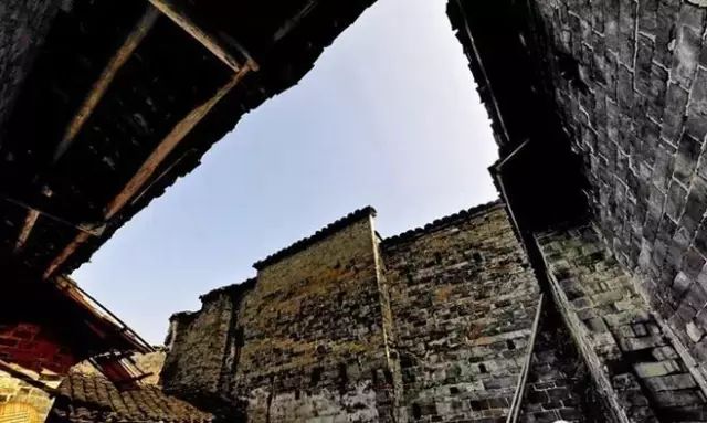 2024年11月15日 第23页