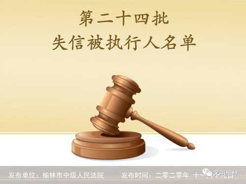历史上的11月14日深夜事件深度解析与个人观点阐述