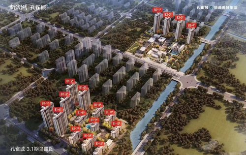 往年11月14日新滨湖孔雀城动态概览与最新消息速递