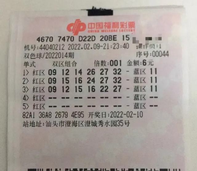 2024年11月15日 第7页