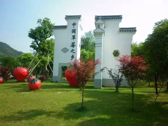 唐山惠丰尚景十一月温馨邻里趣事与情感纽带最新消息