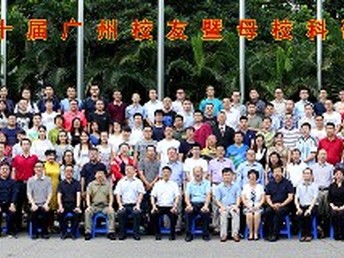 罗冲围11月最新动态解析与行动指南，最新消息一览