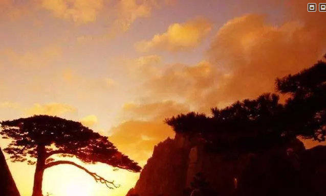 史航带你探索自然秘境，十一月心灵旅行的奇妙之旅