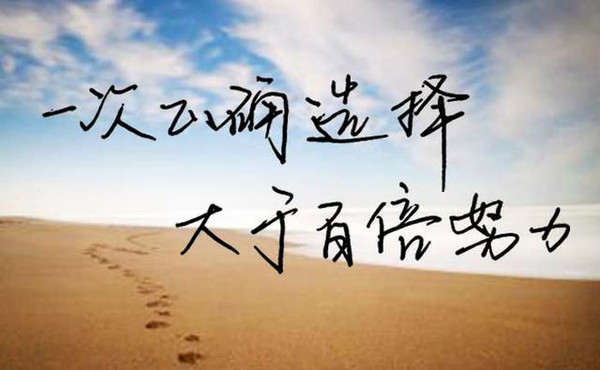 历史上的11月14日国际原油市场动态，最新行情分析与展望