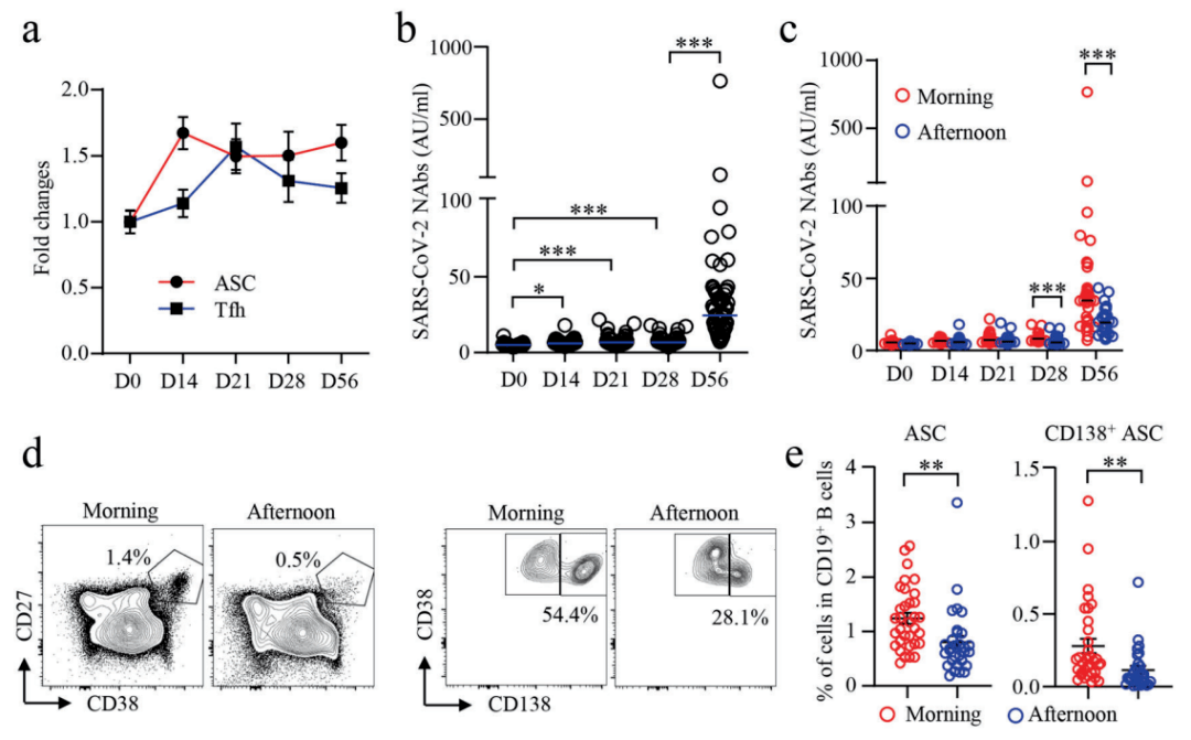 我与疫苗的奇妙之旅，中国新冠疫苗最新动态下的温馨十一月