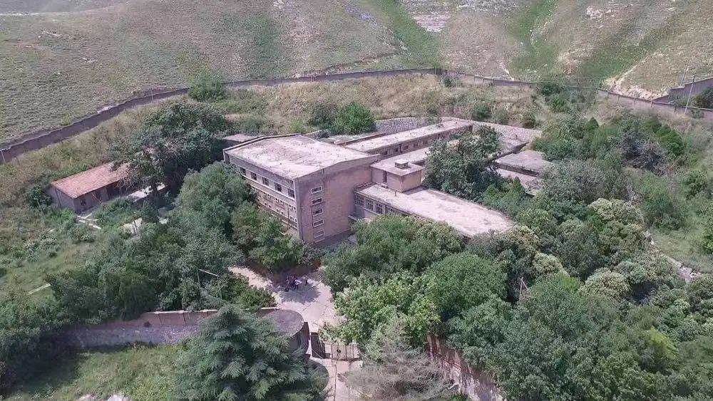 揭秘蒲城通缉犯最新动态，十一月十四日的背后故事