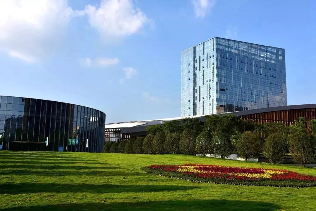 2024年11月16日 第8页