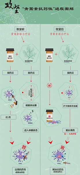 青蒿素新突破，红斑狼疮治疗曙光显现，学习赋能自信与力量