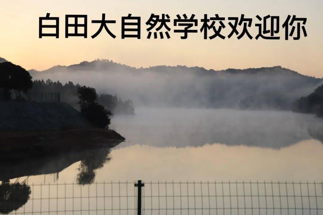 揭秘三穗建市新篇章，自然之旅的心灵觉醒与幽默之旅（最新消息）